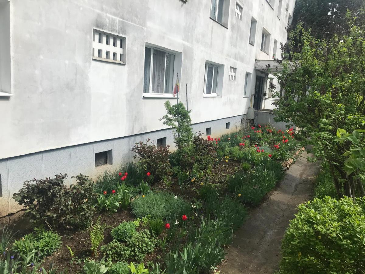 Apartament Colina Cluj-Napoca Exterior photo